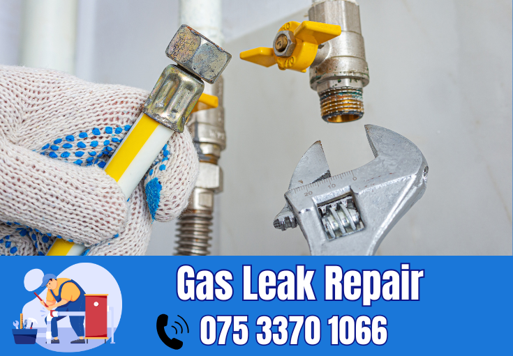 gas leak repair Thanet