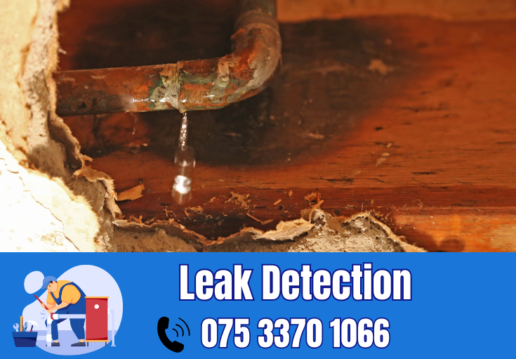 leak detection Thanet