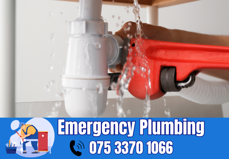  plumber Margate